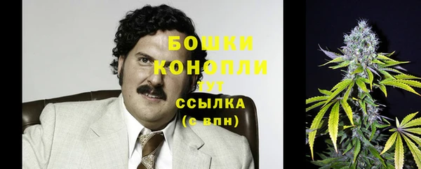 метадон Аркадак