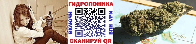 Каннабис Ganja Яровое